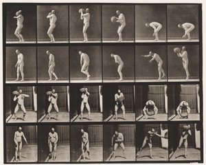 312. tábla. Egy 75 font súlyú szikla felemelése alkotó: Eadweard Muybridge