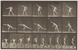 313. tábla. 20 font súlyú szikla felemelése, 1885 alkotó: Eadweard Muybridge