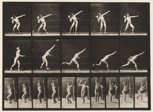 314. tányér. 20 font súlyú szikla felemelése alkotó: Eadweard Muybridge