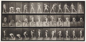 317. tányér. 70 font súlyú szikla felemelése alkotó: Eadweard Muybridge