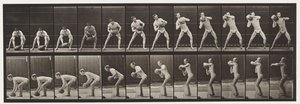 318. tábla. Egy 75 font súlyú szikla felemelése, 1872-1885 alkotó: Eadweard Muybridge