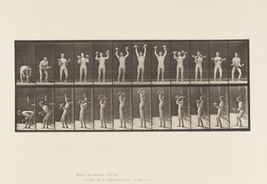 322. tányér. Súlyzót emelő ember alkotó: Eadweard Muybridge