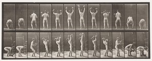 323. tányér. Két 50 font súlyú súlyzó felemelése és leengedése alkotó: Eadweard Muybridge