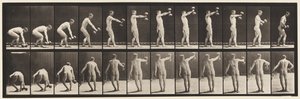 Tányér 326. Emelés 50-lb. Karhosszúságú súlyzó alkotó: Eadweard Muybridge