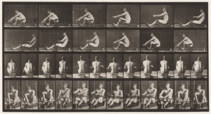 Tányér 327. Evezés alkotó: Eadweard Muybridge