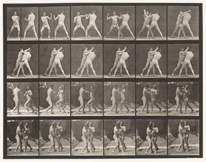 tábla 330. Ökölvívás; Cross-Counter (cipők) alkotó: Eadweard Muybridge