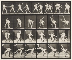 tábla 332. Ökölvívás; Fenék keresztben (cipők) alkotó: Eadweard Muybridge