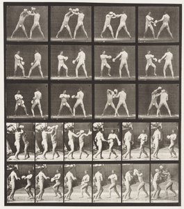 tábla 334. Ökölvívás; Kesztyűvel (cipő) alkotó: Eadweard Muybridge