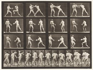 tábla 335. Ökölvívás; Kesztyűvel alkotó: Eadweard Muybridge