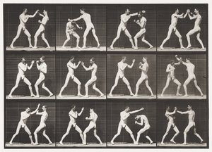 tábla 336. Ökölvívás; Nyitott kéz (cipő) alkotó: Eadweard Muybridge