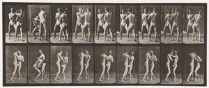 tábla 337. Ökölvívás; Nyitott kéz alkotó: Eadweard Muybridge