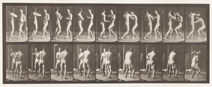 tábla 339. Ökölvívás; Nyitott kéz alkotó: Eadweard Muybridge