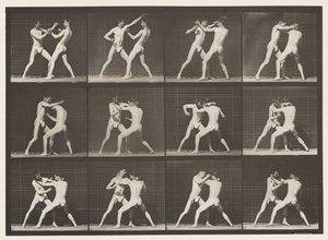 tábla 340. Ökölvívás; Nyitott kéz alkotó: Eadweard Muybridge