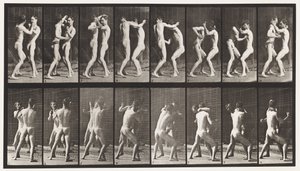 tábla 341. Ökölvívás; Nyitott kéz alkotó: Eadweard Muybridge