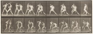tábla 342. Ökölvívás; Nyitott kéz, 1872-1885 alkotó: Eadweard Muybridge