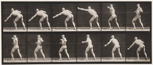 343. tábla. Ütés (bal kéz) alkotó: Eadweard Muybridge