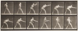 344. tábla. Ütés (jobb kéz) alkotó: Eadweard Muybridge