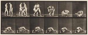 345. tábla. Birkózás, zár, 1885 alkotó: Eadweard Muybridge