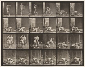 346. tábla. Birkózás, zár alkotó: Eadweard Muybridge