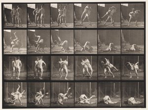 348. tábla. Birkózás, görög-római, 1885 alkotó: Eadweard Muybridge