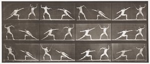 349. tábla Vívás, 1872-1885 alkotó: Eadweard Muybridge