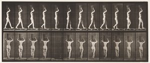 34. tábla. Séta alkotó: Eadweard Muybridge