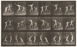 tábla 350. Vívás alkotó: Eadweard Muybridge