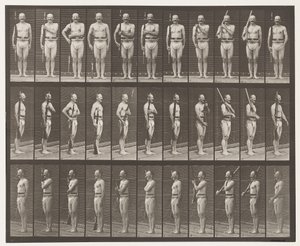 352. tábla. Váll, rend és hordozó karok alkotó: Eadweard Muybridge