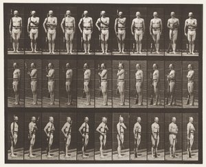 354. tábla. Fegyverhordozó, felvonulási pihenő és nyomkarok alkotó: Eadweard Muybridge