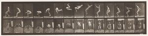 tábla 362. Hátsó szaltó alkotó: Eadweard Muybridge