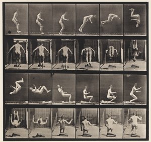 363. tábla. Futó szaltó, 1885 alkotó: Eadweard Muybridge