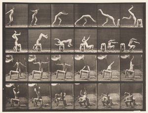 364. tábla. Kézrugó az ember hátán alkotó: Eadweard Muybridge