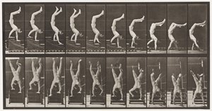 368. tábla. Acrobat, Descending Stairs on Hands alkotó: Eadweard Muybridge