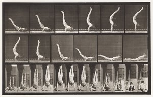 372. tábla. Acrobat, vízszintes nyomás felfelé alkotó: Eadweard Muybridge