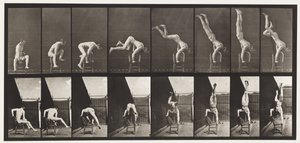 373. tábla. Acrobat, nyomja fel a székből alkotó: Eadweard Muybridge