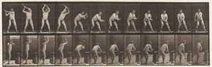 376. tábla. Kovács, Kalapácsolás üllőn, Két kéz, 1872-1885 alkotó: Eadweard Muybridge