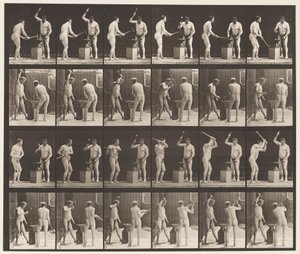 377. tábla. Kovács, két modell, kalapácsolás az Advilon, 1872-1885 alkotó: Eadweard Muybridge