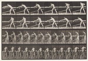 379. tábla. Ács, Deszkát gyalul, 1872-1885 alkotó: Eadweard Muybridge