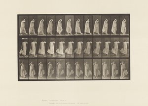 37. tábla. Sétáló, bal kézzel tartó ruha, jobb kéz az arcnál, 1872-1885 alkotó: Eadweard Muybridge