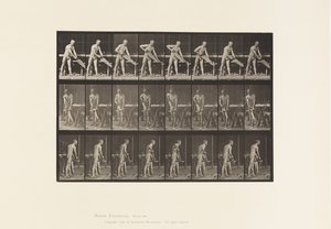 380. tábla. Ács, Fűrész, 1872-1885 alkotó: Eadweard Muybridge