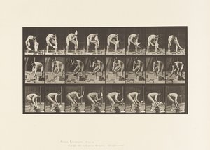 381. tábla. Kőműves, Téglarakás alkotó: Eadweard Muybridge