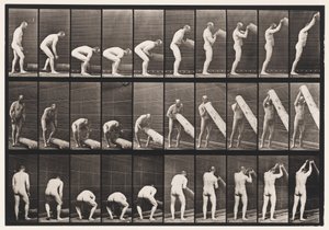 382. tábla. Egy farönk emelése a végén, 1872-1885 alkotó: Eadweard Muybridge