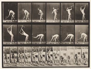 385. tábla. Gazda, csákány segítségével, 1872-1885 alkotó: Eadweard Muybridge