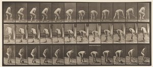 388. tábla. Farmer, ásóval, 1872-1885 alkotó: Eadweard Muybridge