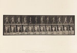 389. tábla Gazda, szórványmag, 1872-1885 alkotó: Eadweard Muybridge