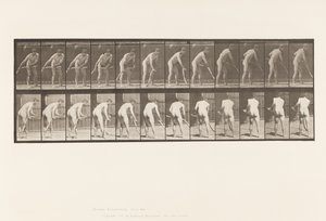 tábla 390. Gazda, fűnyírás alkotó: Eadweard Muybridge