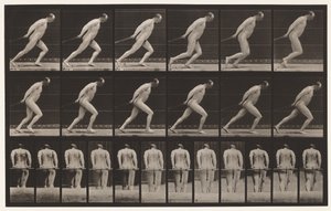 392. tábla. Kerti henger húzása, 1872-1885 alkotó: Eadweard Muybridge