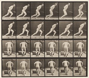 393. tábla Kerti hengert tolni, 1872-1885 alkotó: Eadweard Muybridge