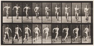 Tányér 3. Séta alkotó: Eadweard Muybridge