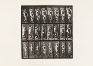 405. tábla. Téglakézzel fel a létrán, 1872-1885 alkotó: Eadweard Muybridge